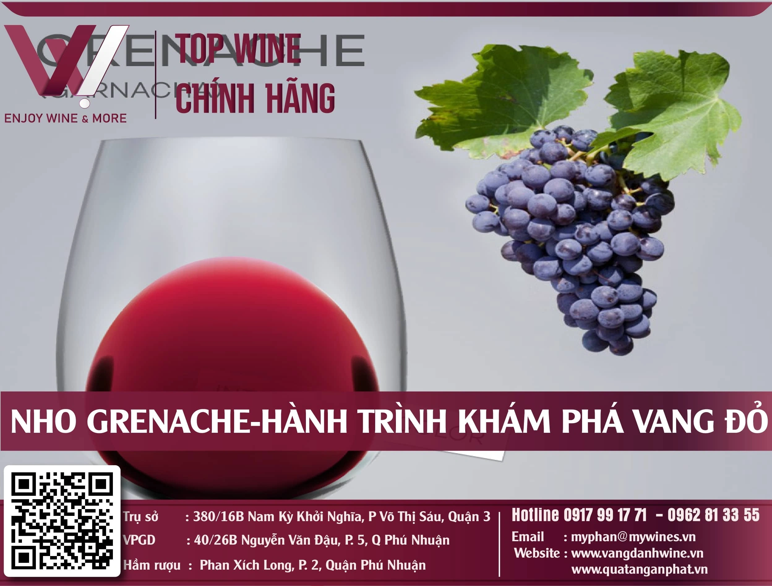 Nho Grenache: Hành trình khám phá vang đỏ từ trái tim