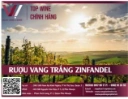 Rượu vang trắng Zinfandel-Cách phục vụ và bảo quản đúng cách để tận hưởng tối đa